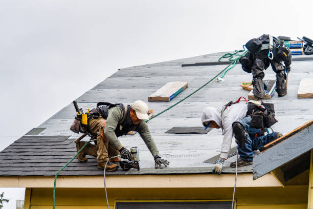 Professional Roofing technician working in Davis City, IA